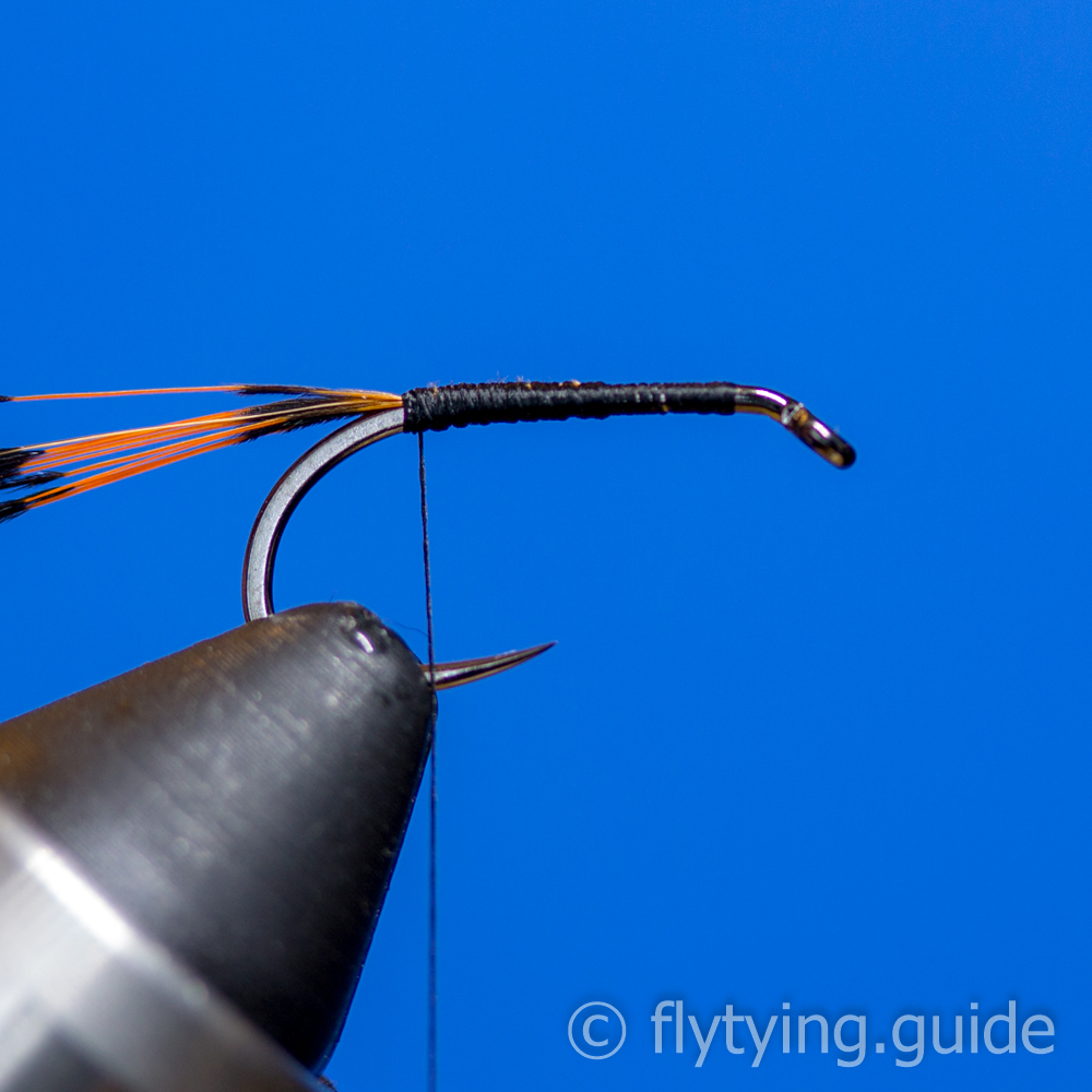 Royal Coachman Wet - Tying Instructions - Fly Tying Guide