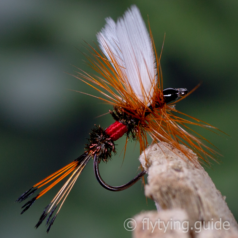 Royal Coachman Dry - Tying Instructions - Fly Tying Guide