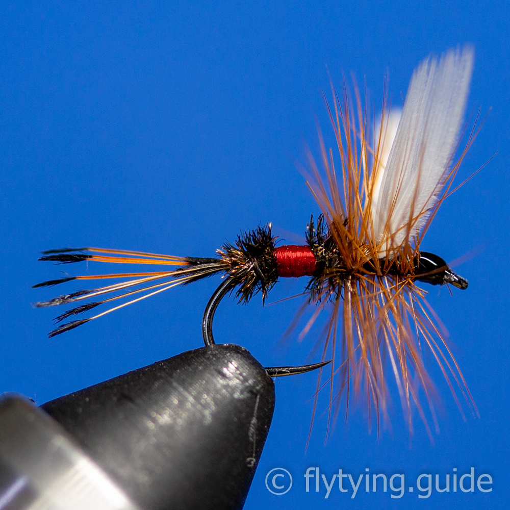 Royal Coachman Dry - Tying Instructions - Fly Tying Guide