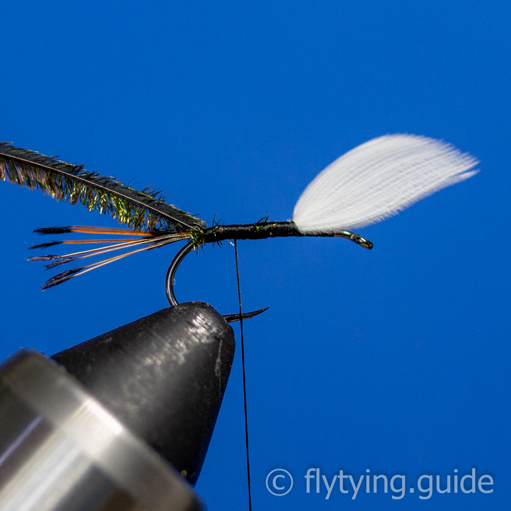 Royal Coachman Dry - Tying Instructions - Fly Tying Guide
