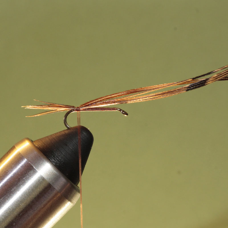 Pheasant Tail Nymph - Tying Instructions - Fly Tying Guide