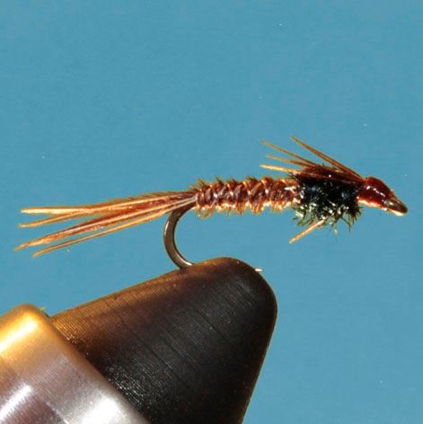 Pheasant Tail Nymph - Tying Instructions - Fly Tying Guide